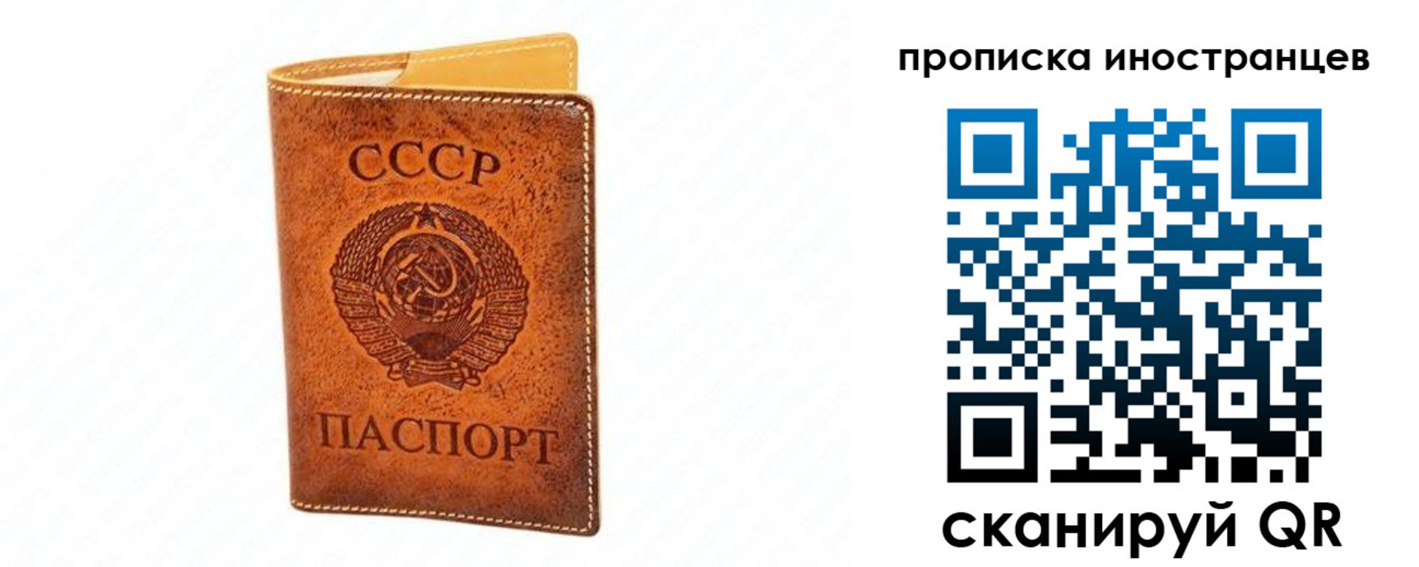 прописка для школы в Куртамыше